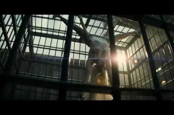 James Gunn será el encargado de escribir y probablemente dirigir Suicide Squad 2