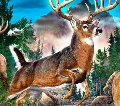 Análisis de Cabela’s The Hunt: Championship Edition