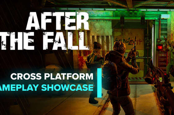 After the Fall, modo cooperativo