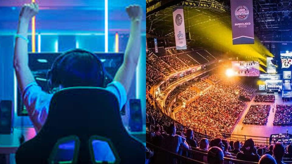 Gamers e eSports