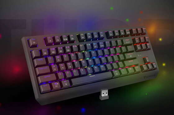 Genesis Thor 230 TKL Wireless, teclado gaming