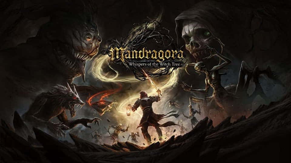 Mandragora Mandragora