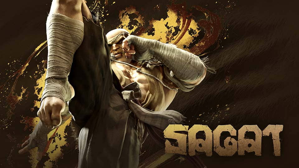 Sagat Sagat