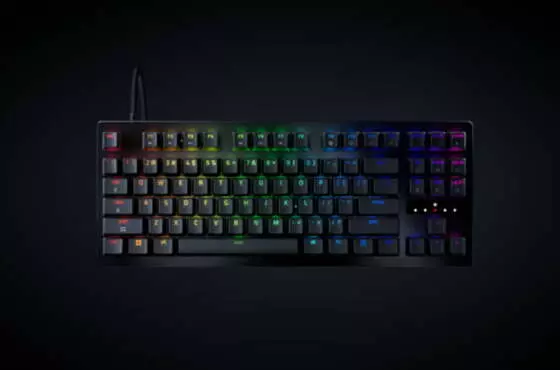 Huntsman V3 Tenkeyless 8K Hz